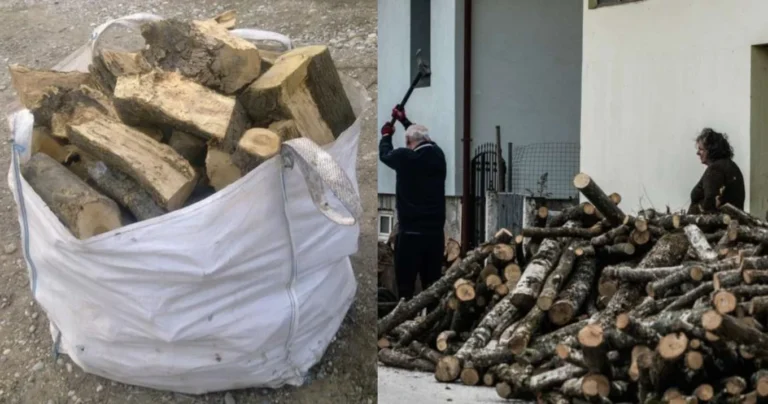 Ευχάριστα νέα για χιλιάδες πολίτες: Θα πάρουν δωρεάν καυσόξυλα για να ζεσταθούν τον χειμώνα – Οι δικαιούχοι
