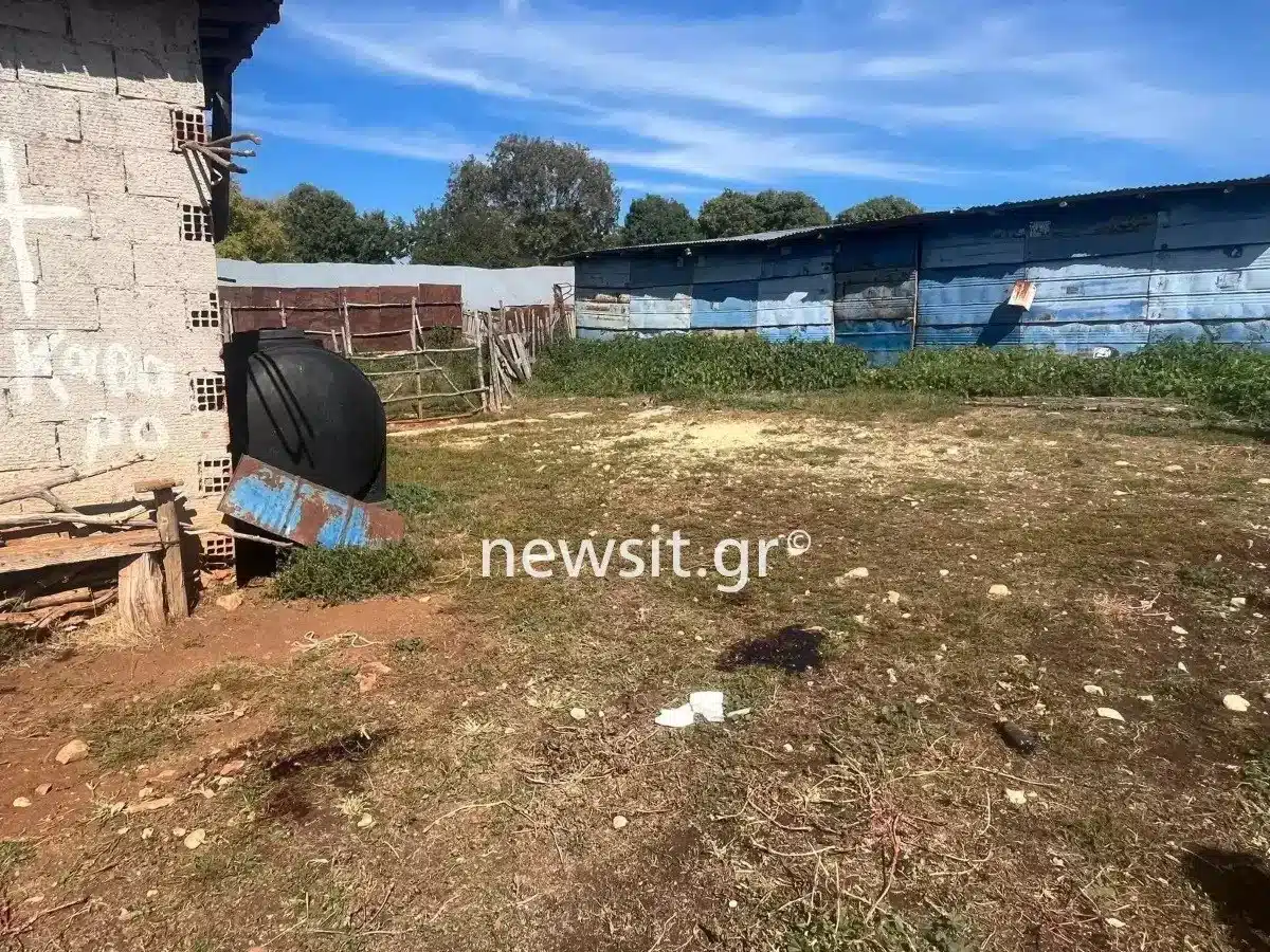 fovotan na pei tin alitheia sygklonizei i mitera tis atychis 31chronis foto apo ton 56chrono dolofono 5