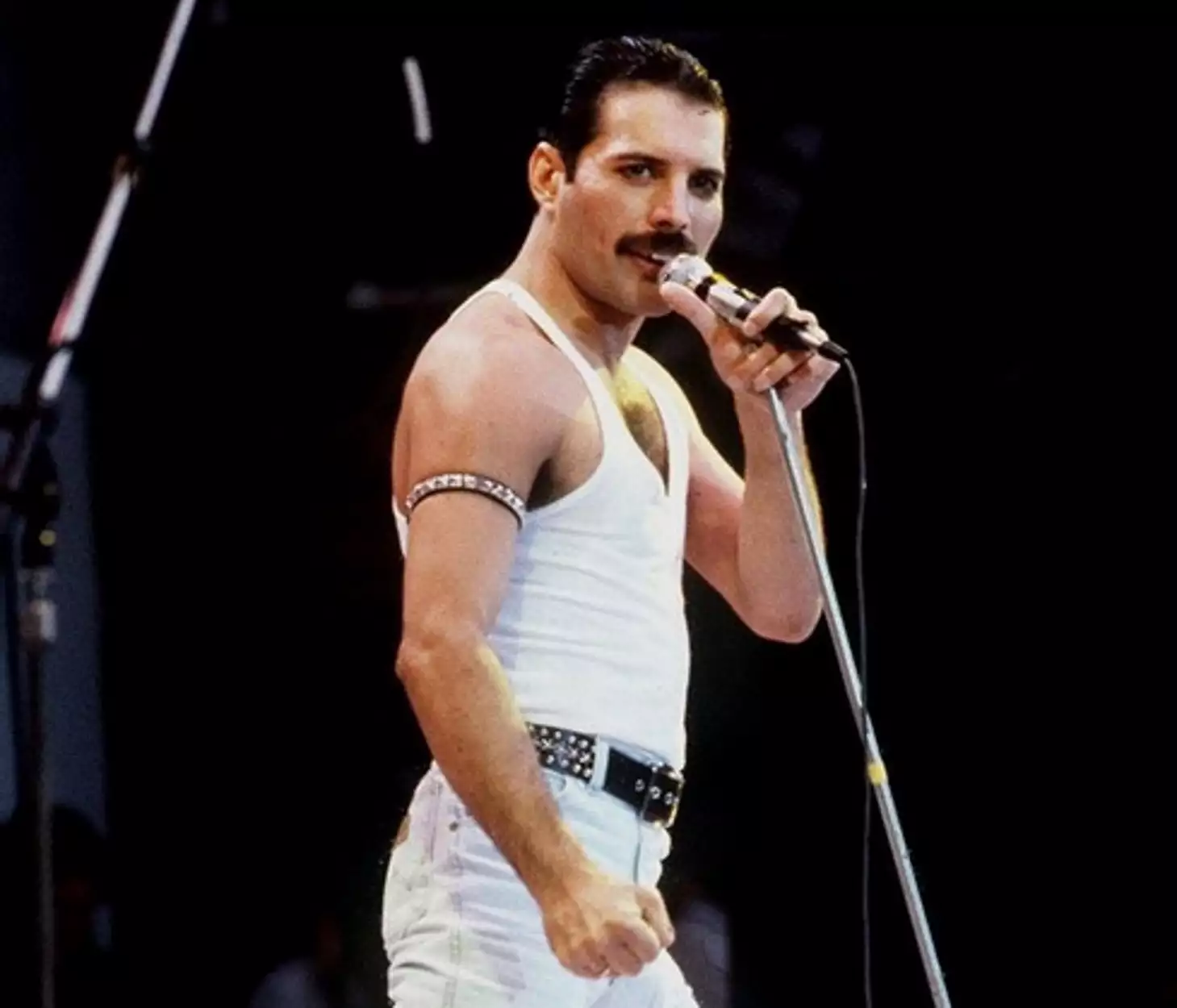 freddie mercury