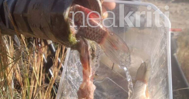 Κρήτη: Πότιζε το χωράφι του και ξαφνικά βγήκαν ψάρια από την βρύση