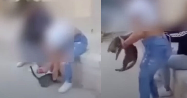 Αuτή είναι η παιδεία στην Ελλάδα: Μαθήτρια κλώτσησε γατάκι και γελούσε με τις φίλες της