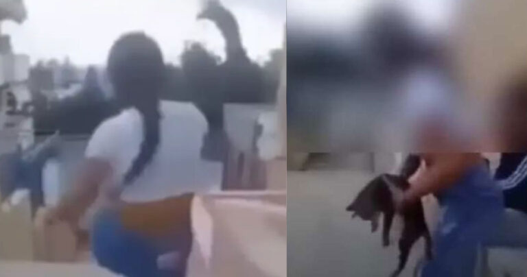 Κρήτη: Πρόστιμο 5.000 ευρώ στην 15χρονη που κλώτσησε το γατάκι «για να γελάσουν»