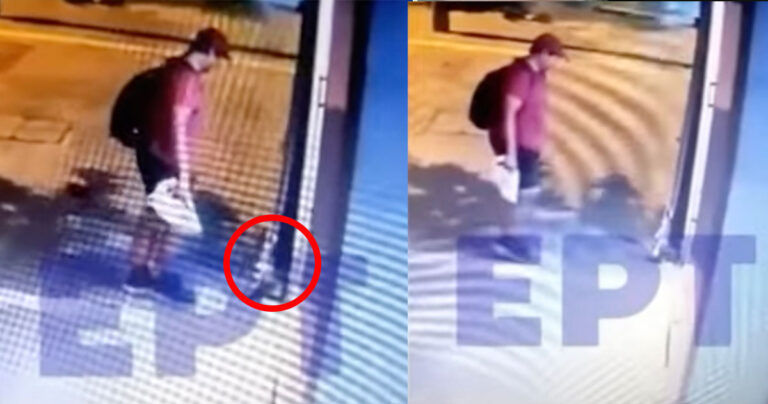 Μόνο οργή: Άνδρας σκότωσε νεογέννητο γατάκι – Το τσαλαπάτησε και έφυγε ανενόχλητος