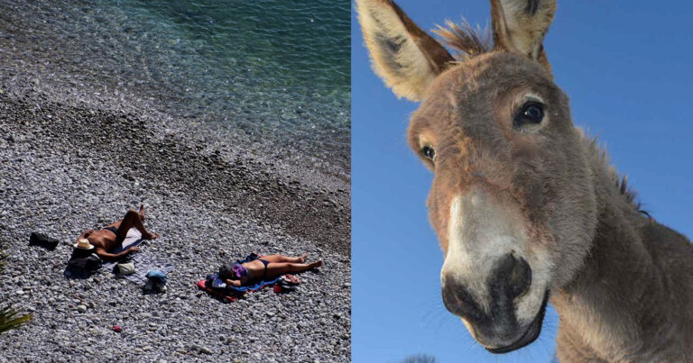 Γαϊδουροκαλόκαιρο: Τι σημαίνει – Πότε έρχεται