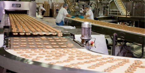 grammi paragogis violanta