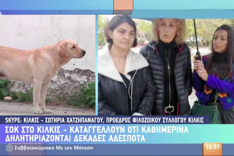 Εισαγγελική παρέμβαση ζήτησε ο Φιλοζωϊκός Σύλλογος Κιλκίς γιά την θανάτωση δέκα ζώων