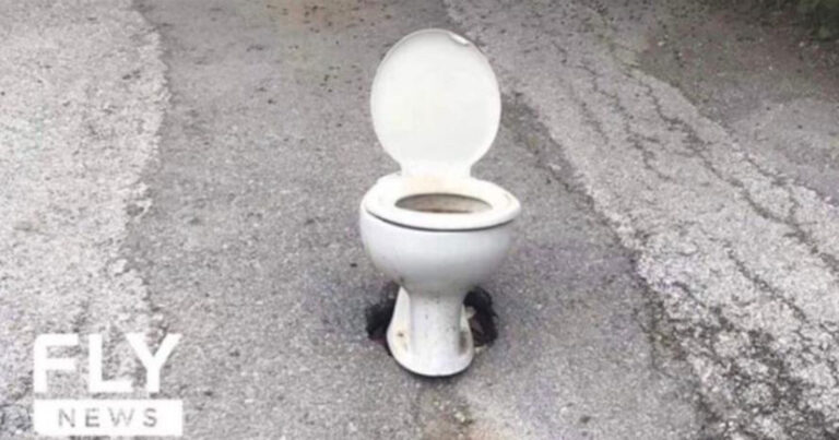 Απίστευτο κι όμως Ελληνικό: Βούλωσαν τρύπα σε δρόμο με λεκάνη τουαλέτας