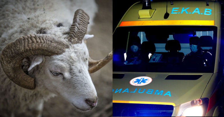 Τραγικό τέλος: Άνδρας χτυπήθηκε από κριάρι και τον βρήκε νεκρό ο γείτονας του