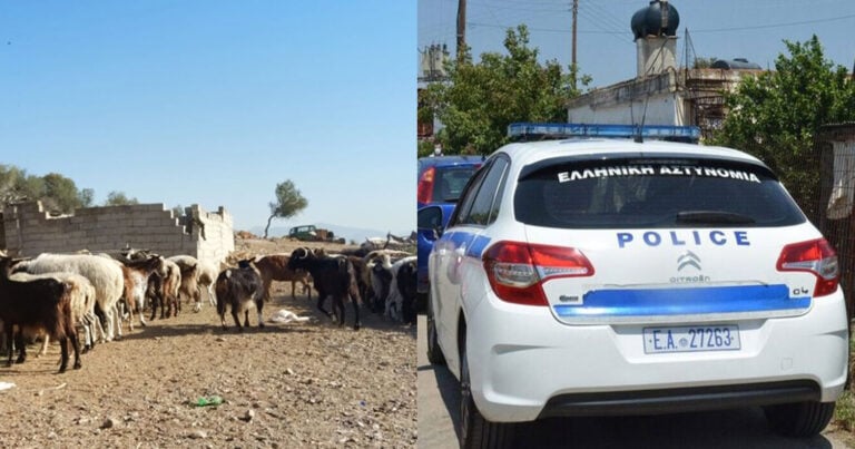 Ανατροπή σοκ στη Μάνδρα: Ομολόγησε ο 14χρονος ότι σκότωσε τον 17χρονο αδελφό του