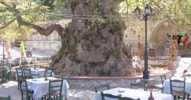 Το ελληνικό χωριό με τον γηραιότερο πλάτανο του κόσμου: Δεν θα το βρείτε στους γνωστούς τουριστικούς προορισμούς