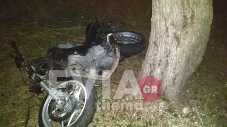 Τραγικό τροχαίο στα Ψαχνά: Νεκρός 47χρονος γιατρός – Βγήκε εκτός δρόμου για να αποφύγει σκύλο