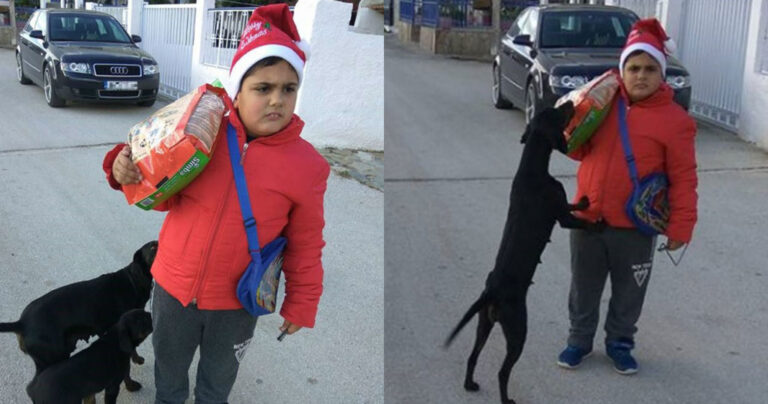 Ο Χρήστος με τα χρήματα από τα κάλαντα αγόρασε τροφή για τα αδέσποτα της γειτονιάς του