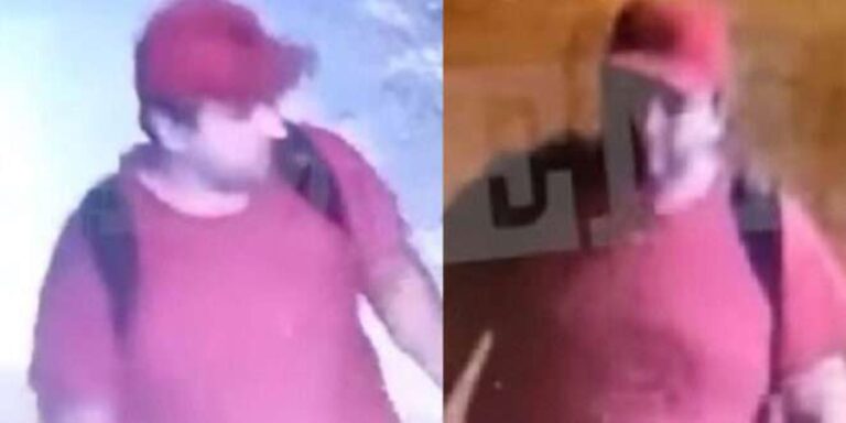 Θεσσαλονίκη: Ελεύθερος ο Διδάκτωρ που ποδοπάτησε μέχρι θανάτου το γατάκι