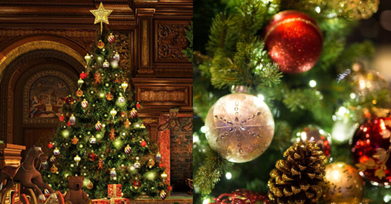 Γιατί στολίζουμε χριστουγεννιάτικο δέντρο; Γιατί προτιμάμε έλατο και κόκκινες μπάλες;