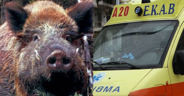 Τρόμος για κυνηγό: Πήγε για κυνηγήσει αγριογούρουνο και αυτό τον έστειλε στο νοσοκομείο