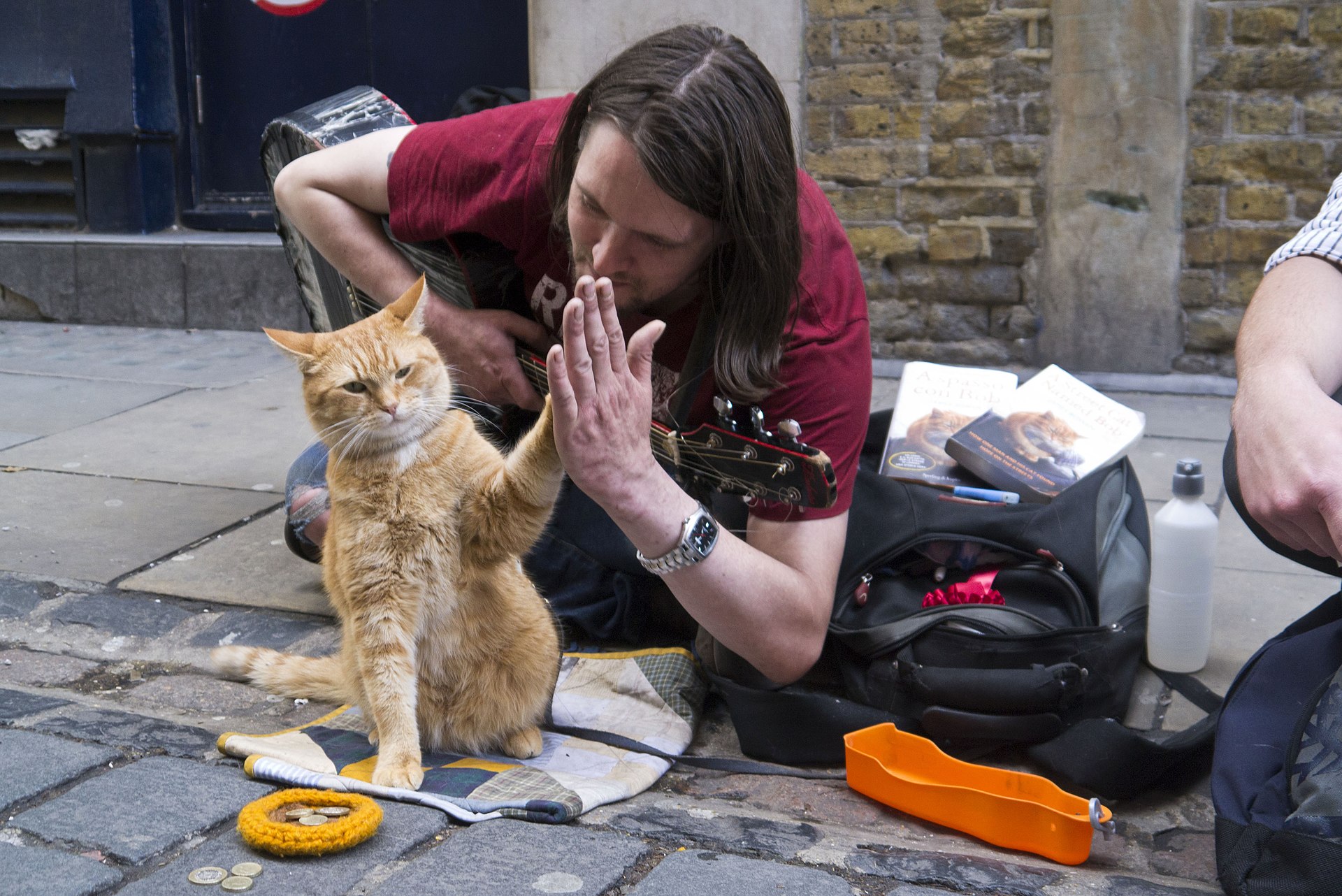 bob the street cat high fives his official biographer james bowen on the publication of their new book. 7510771672