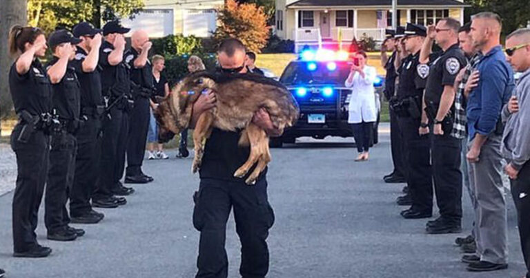 Αστυνομικοί αποχαιρετούν τον συνάδελφο σκύλο τους που πέθανε από καρκίνο