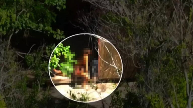 Survivor: Στα πράσα πιάστηκαν Πρίαμος και Καλύβα – Τα καυτά καρέ στην καλύβα