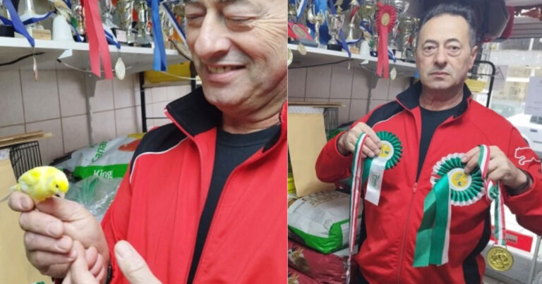 Καναρίνια από τη Θεσσαλονίκη μάγεψαν σε μελωδικό διαγωνισμό και σάρωσαν τα μετάλλια