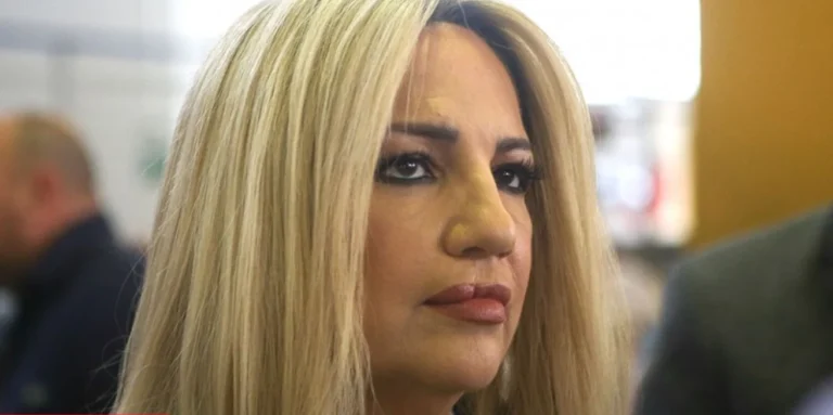 Η γενναία Φώφη απέναντι στον ξεδιάντροπο αλήτη…