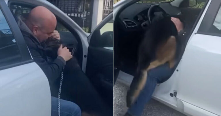 Θεσσαλονίκη: Λυκόσκυλο ξαναβρίσκει το αφεντικό του μετά από 5 ολόκληρα χρόνια