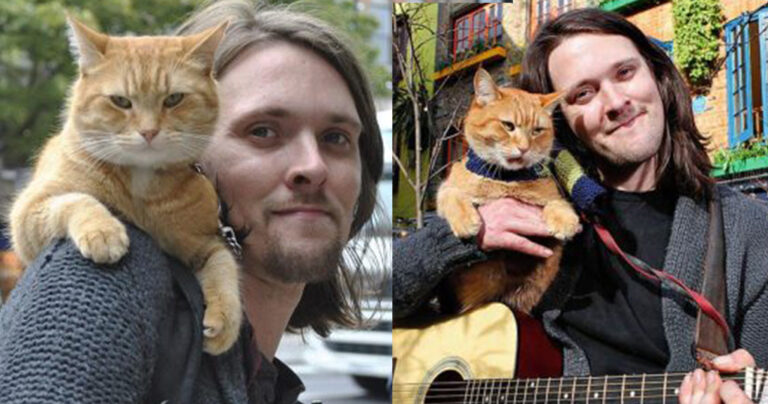 Άστεγоς τοξικομανńς βρήκε έναν γάτο που του άλλαξε τη ζωή – «Καθάρισε» και έγıνε συγγραφέας