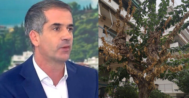 Μπακογιάννης: «Το πραγματικό πρόβλημα της Αθήνας είναι οι μουριές»