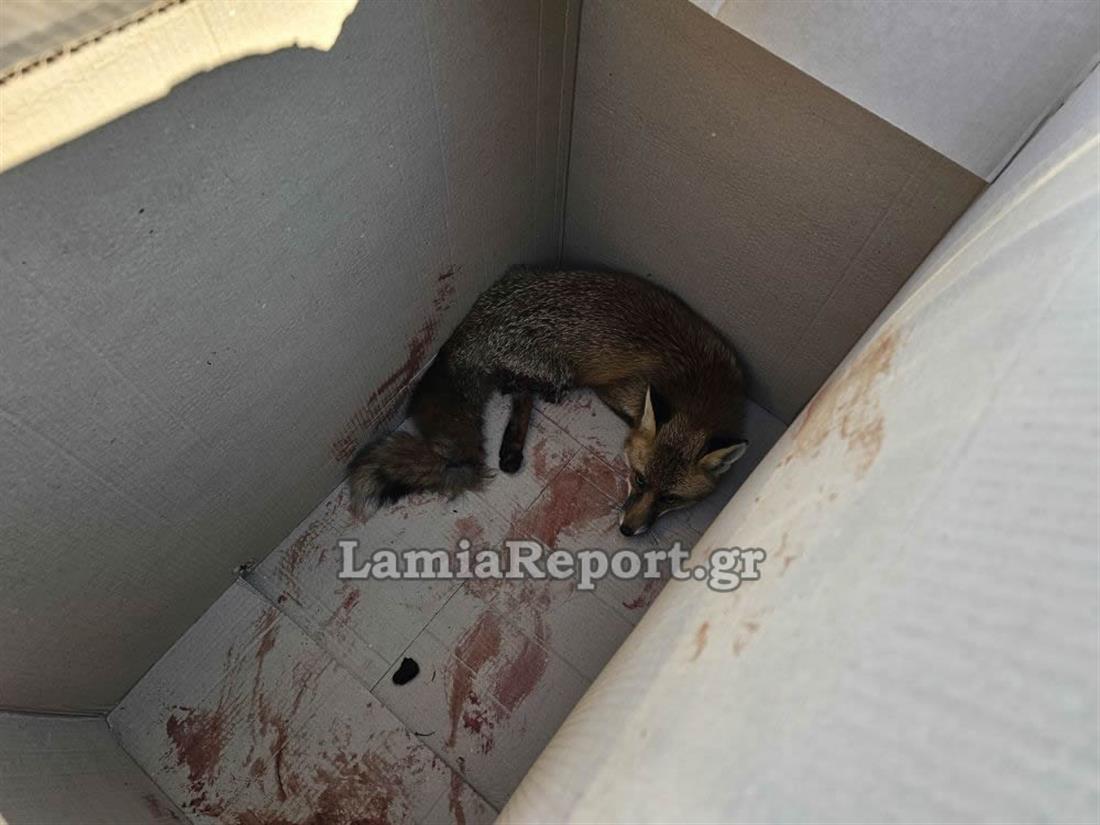 1100 7ea799d3 0bda 4c47 94b1 345d0e3d4d4d