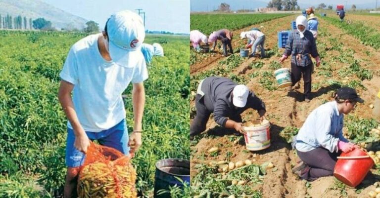 Τα ελληνόπουλα μπορούνε να πάνε να δουλέψουν στα χωράφια. Δεν είναι ντροπή… ντροπή είναι τα επιδόματα-ελεημοσύνη