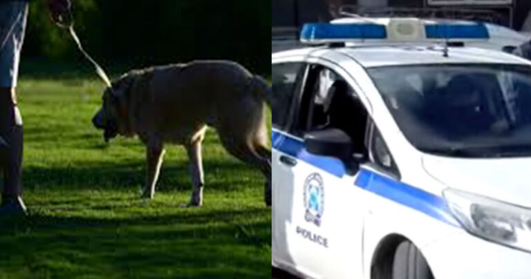 Βαριά πρόστιμα σε ασυνείδητους που έκαναν βόλτα τα σκυλιά τους χωρίς λουρί