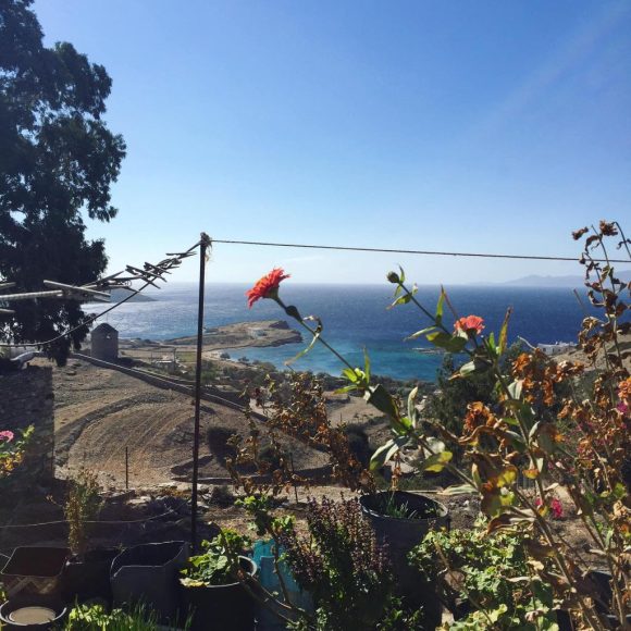 332019712 775391903430140 7957304622290196498 n 580x580 1