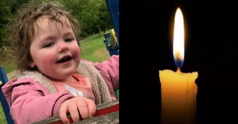 Ασύλληπτη τραγωδία: 4χρονο κοριτσάκι έχασε τη ζωή του από τον σκύλο τους – «Πάγωσε» η μητέρα του