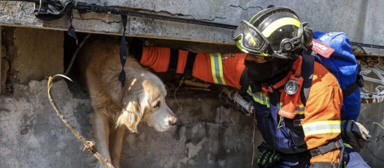 Τουρκία: Ομάδα από την Πορτογαλία έσωσε έναν σκύλο στην Αττάκεια μετά από 200 ώρες