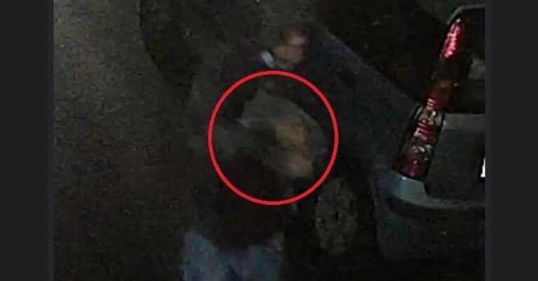 Αθήνα: Άνδρας χτυπάει επανειλημμένα γάτα και τη σκοτώνει στον Βοτανικό