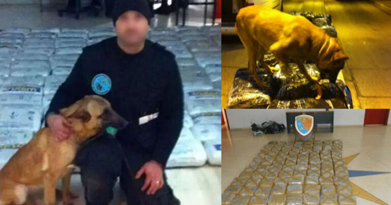 Έφυγε από τη ζωή η Λέσυ, το σκυλί «θρύλος» του λιμεναρχείου Ηγουμενίτσας