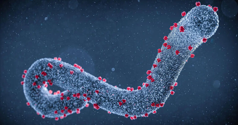 «Επικίνδυνος και θανατηφόρος»: Αυτός είναι ο νέος ιός που εμφανίστηκε και τρομάζει τους επιστήμονες