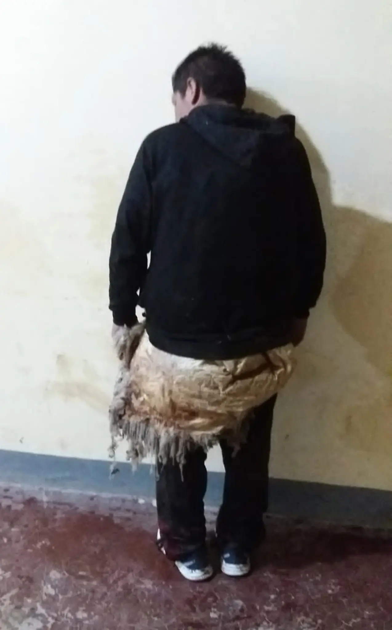 Έκανε την απόδραση του αιώνα: Ντύθηκε προβατίνα και το έσκασε από τη φυλακή 3 escape plan fail disguised as sheep 2