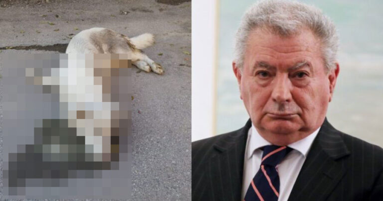 Φρίκη: Δηλητηρίασαν την σκυλίτσα του Σήφη Βαλυράκη, δυο χρόνια μετά την δολοφονία του