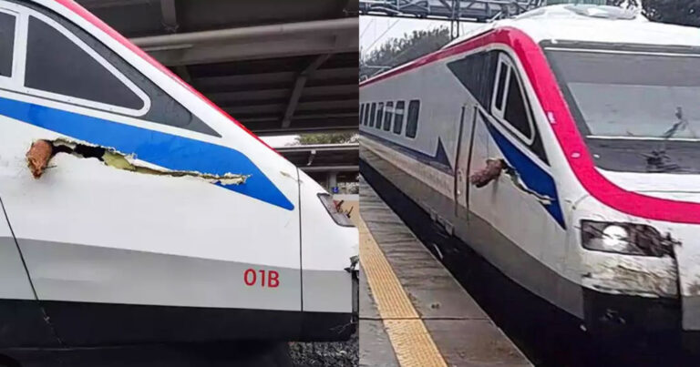 Kαμμένος κορμός μπήκε σε εν κινήσει Λευκό Βέλος – Από θαύμα γλύτωσε ο μηχανοδηγός