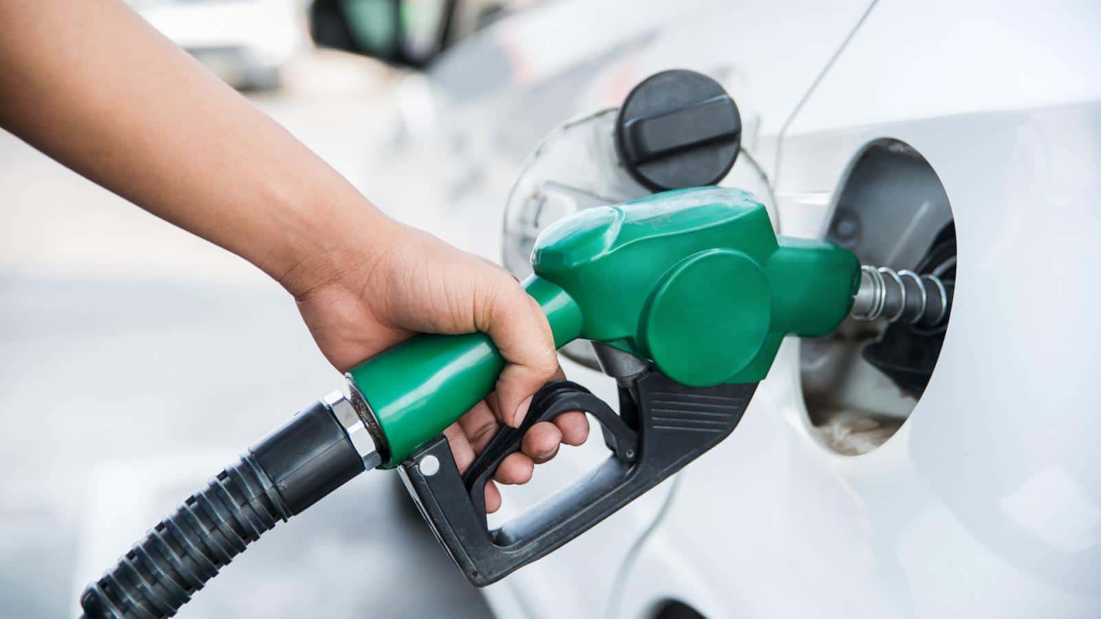 petrol antlia