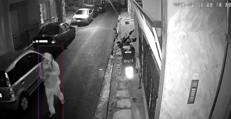 Βοτανικός: Συνελήφθη εγκληματίας που βασάνιζε και σκότωνε αδέσποτες γάτες