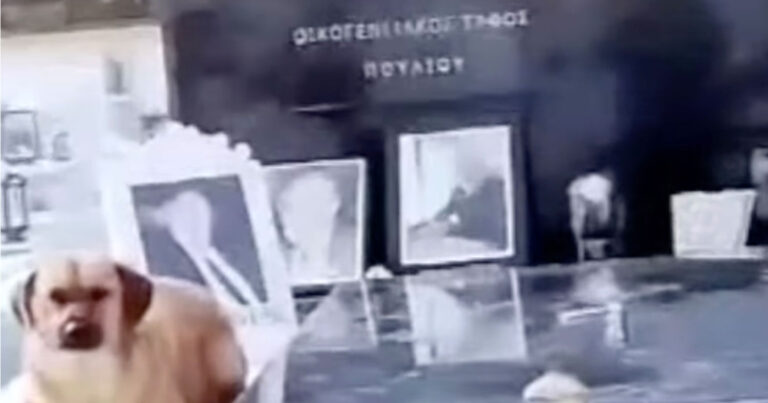 Σκύλος δεν φεύγει από το μνήμα του αφεντικού του στην Κρήτη