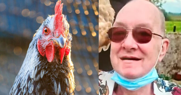 Κόκορας με βίαιο παρελθόν σκότωσε άντρα μετά από επίθεση