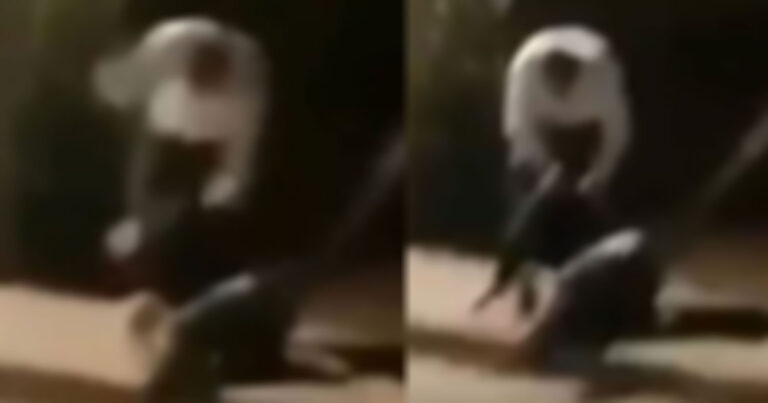 Γονείς στην Κω ξυλοκόπησαν 35χρονο Ρομά που πήγε να βιάσει την 13χρονη κόρη τους