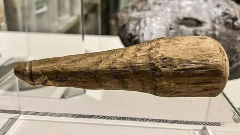Βρέθηκε σπάνιο ξύλινο εpωτικό βοήθημα 2.000 ετών