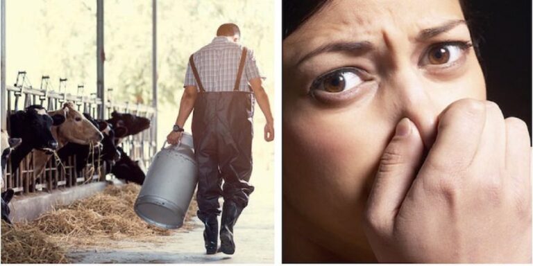 Ο άντρας μου έγινε κτηνοτρόφος και μυρίζει τόσο που δεν τον αντέχω στο κρεβάτι. Να χωρίσω;