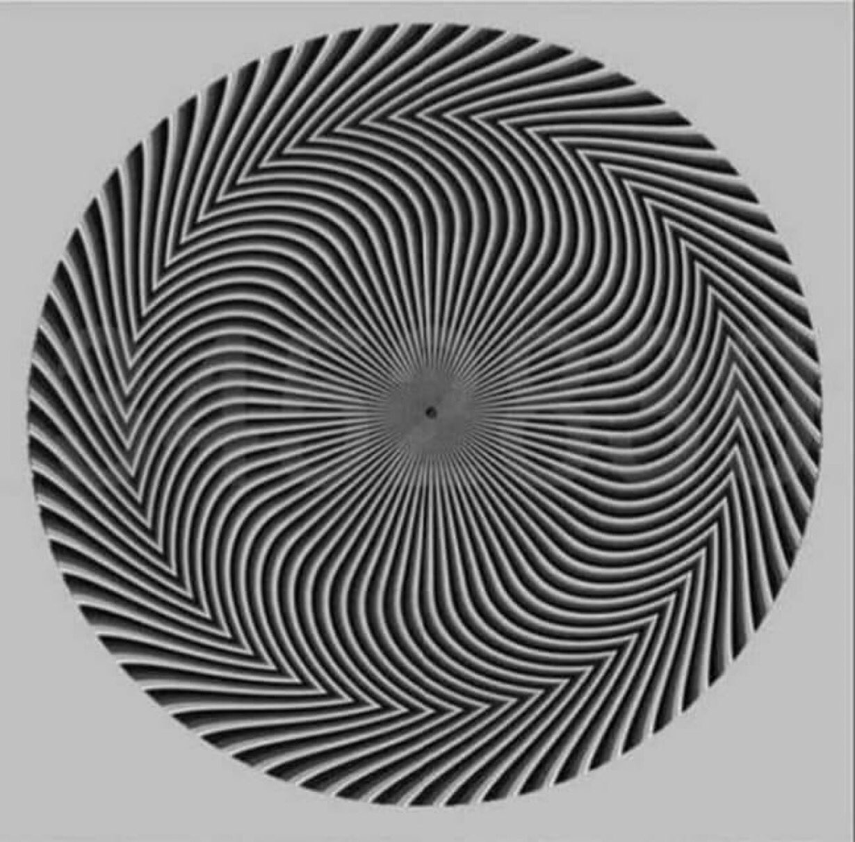 741