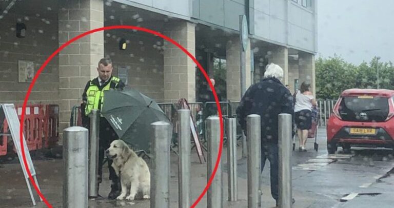 Άνδρας security κράτησε ομπρέλα σε σκύλο για να μη βραχεί και έγινε παγκόσμιο viral