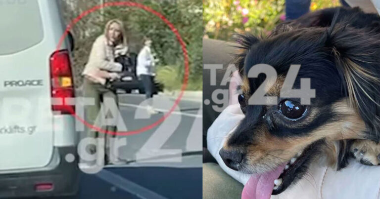 Ηράκλειο: Οδηγοί «τράβηξαν χειρόφρενο» και έσωσαν κουτάβι που έτρεχε τρομαγμένο στην εθνική οδό