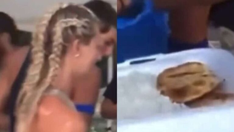 «Καταρρέουν» όλα: Στη φόρα βίντεο από τσιμπούσι παικτών στο Survivor – Τρώνε μερίδες με κρέατα και υδατάνθρακα